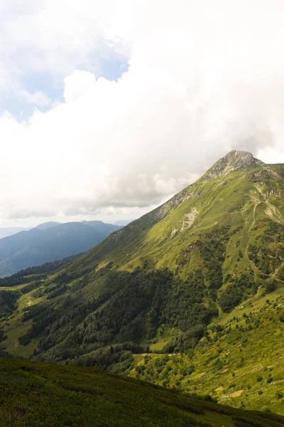 Alp Dağları çayır sakin yaz manzarası. Dağ Vadisi Köyü manzarası. Dağ köyü manzaralı. Dağlardaki köy. Dağ vadisi köyü manzarası.