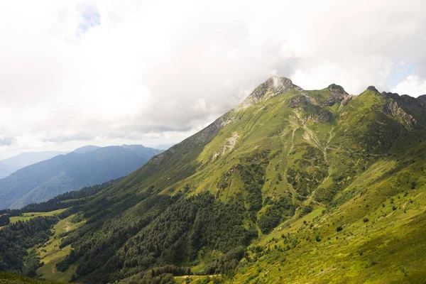 Magnifique Vue Panoramique Sur Forêt Conifères Sur Les Montagnes Puissantes — Photo