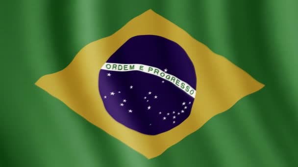 Brazílie Vlajka Textilie Povrch Pozadí Animace — Stock video