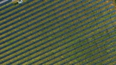 Pv modülleri güneş panelleri üzerinde havadan yukarıdan aşağıya görünüm rotasyonu