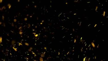 Şenlikli Payetler Tinsel Sparkles