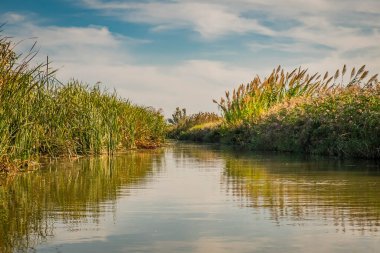 La Albufera, İspanya 'nın Valencia eyaletinde yer alan doğal bir bölge.