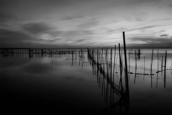 Albufera Natural Area Located Province Valencia Spain — Stock Photo, Image