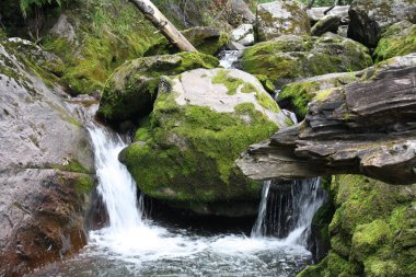 Altay dağlarında küçük şelale