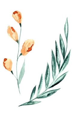 Suluboya turuncu tomurcukları ve yaprakları ile bir dal