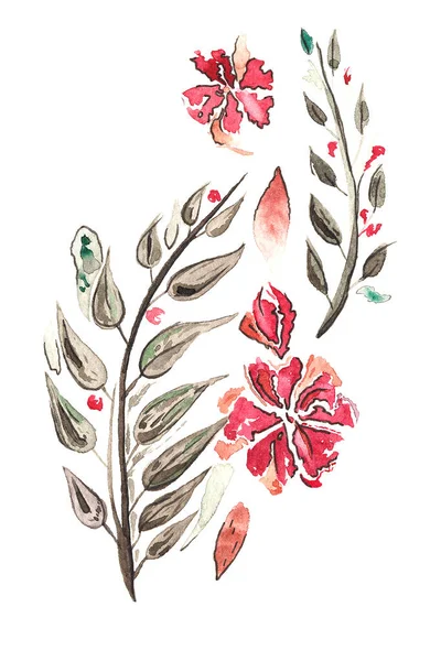 Aquarell Blumen Und Blätter Auf Weißem Hintergrund — Stockfoto