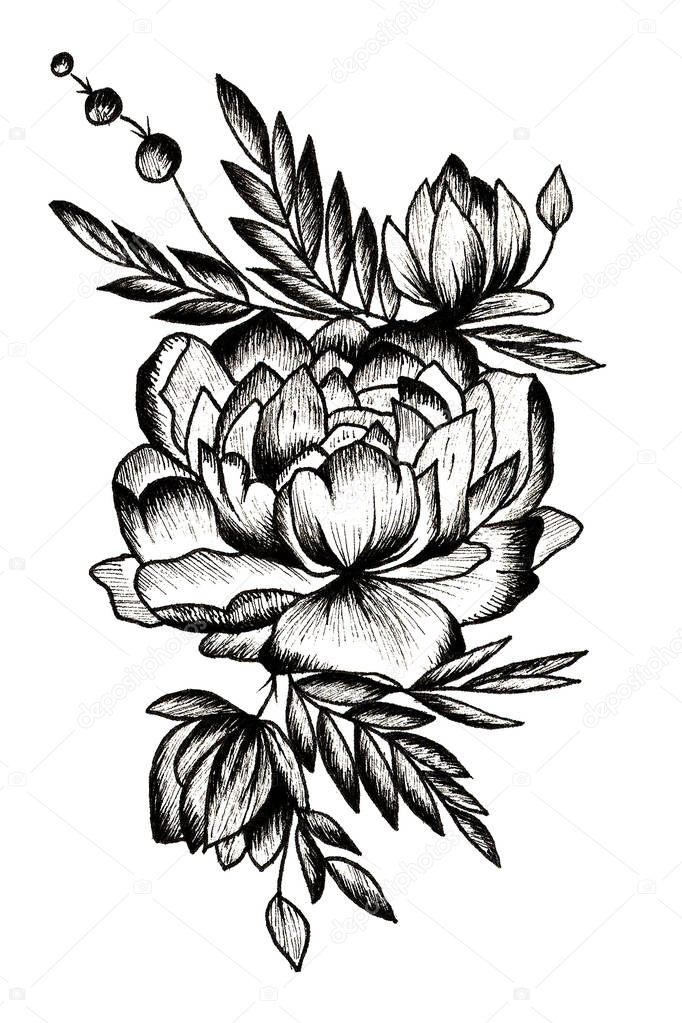 Tattoo sketch of black peony with buts and leaves on white background