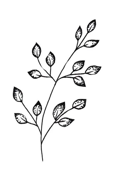 Schwarz Weißes Blatt Handgezeichnete Illustration Tätowierung — Stockfoto