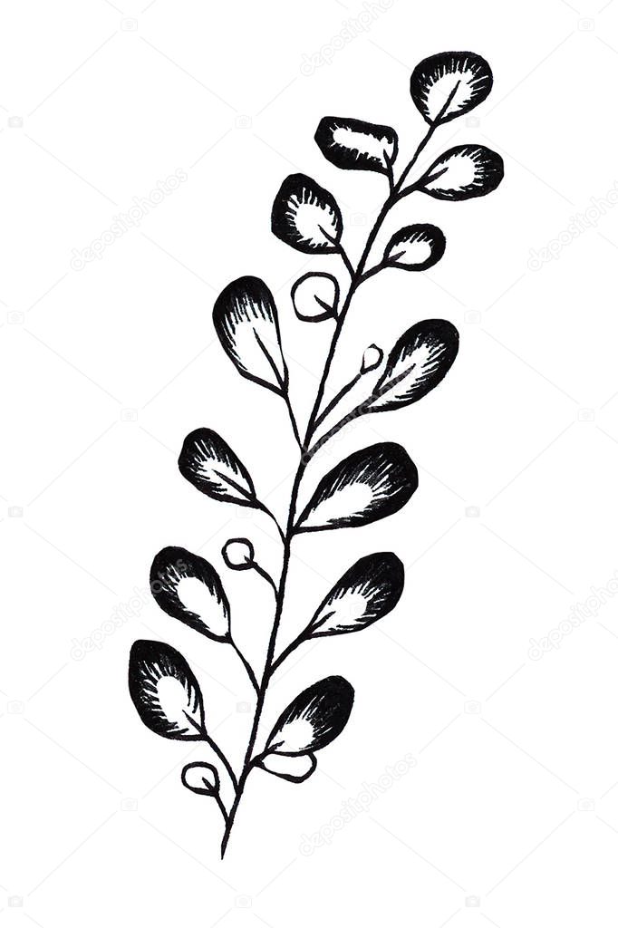 Black and White leaf. Hand drawn illustration. Tattoo style