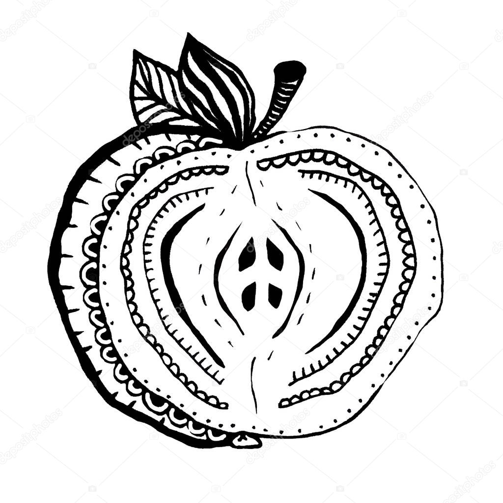 Hand drawn decorative apple.