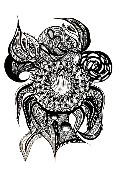 黑白海蟹与贝壳和海瓜 — 图库照片