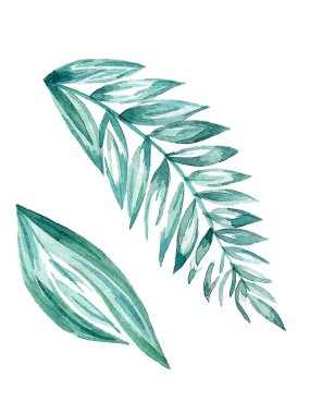 Beyaz izole arkaplanda iki yeşil yapraklı suluboya seti.