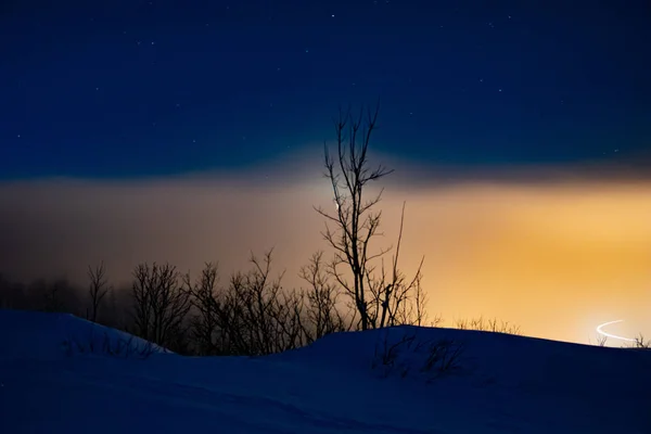 Winter night landscape in the far north in the polar night