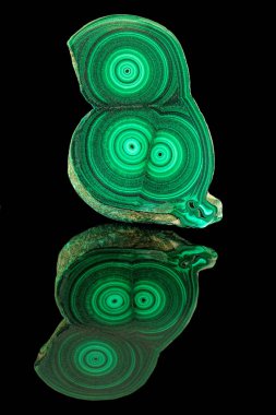 Yeşil malakit mineral taş numune gemstone makro siyah arka plan üzerine izole şaşırtıcı cilalı doğal levha. Portre fotoğraf doku yeşil taş örnek