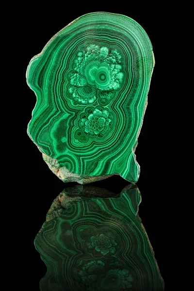 Yeşil malakit mineral taş numune gemstone makro siyah arka plan üzerine izole şaşırtıcı cilalı doğal levha. Portre fotoğraf doku yeşil taş örnek