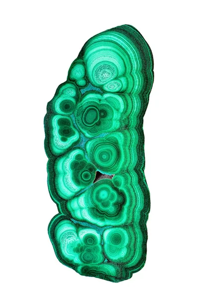 Yeşil malakit mineral taş numune gemstone makro beyaz arka plan üzerinde izole şaşırtıcı cilalı doğal levha. Portre fotoğraf doku yeşil taş örnek