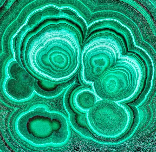 Yeşil malakit mineral taş numune gemstone makro bir arka plan olarak şaşırtıcı cilalı doğal levha. Portre fotoğraf doku yeşil taş örnek. Malakit arka plan