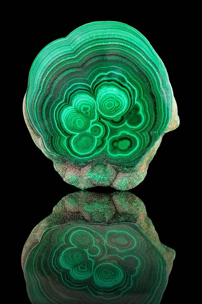 Изумительная Полированная Натуральная Плита Зеленого Малахитового Минерального Драгоценного Камня Макро — стоковое фото