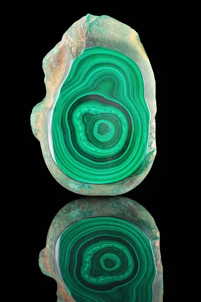 stock image Amazing polished natural slab of green malachite mineral gemstone specimen gemstone macro isolated on black background. Closeup photo texture of green stone specimen