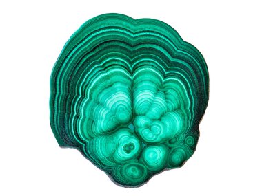 Yeşil malakit mineral taş numune gemstone makro beyaz arka plan üzerinde izole şaşırtıcı cilalı doğal levha. Portre fotoğraf doku yeşil taş örnek