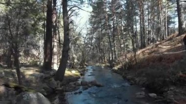vista aerea de una casaca realizado con dron, el dron esta volando por encima del agua y entre arboles. drone ile yapılan bir ceket havadan görünümü, drone su üzerinde ve ağaçların arasında uçuyor