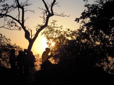 Güneş güzel bir sahne Mount Abu bir ağaç ve diğer yapıların bir gözetleme ayarlamak , Hindistan'da Rajasthan bir tepe istasyonu.