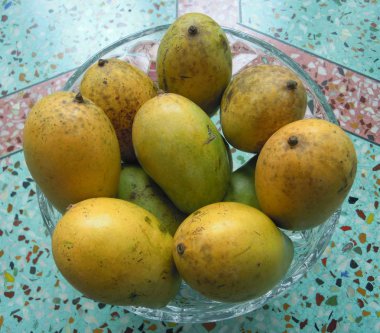 Tatlı olgun Mango, büyük bir aromalı Hint tatlı meyve. Çok lezzetli ve hijyenik..