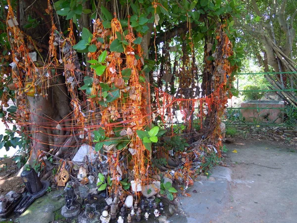 The Holy place of lord shiva under a banyan tree e at  a garden of 108 shiva temple of Bardhaman in India . The garden is full of trees, plants and flowers.