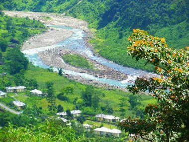 Nehrin yeşil bitkilerden ve ağaçlardan aktığı güzel bir köy sahnesi.