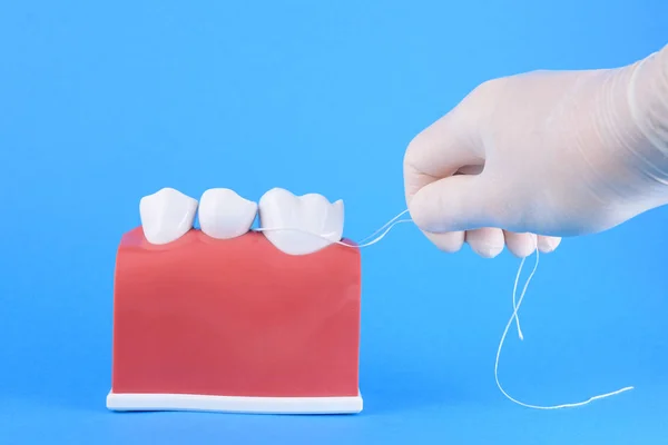 Dokter gigi mulut palsu dengan latar belakang biru — Stok Foto
