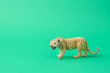 yeşil arka planda izole leopar oyuncak