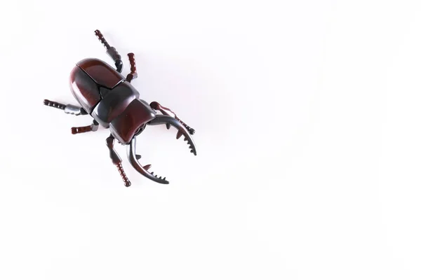 Фальшивий пластиковий жук на білому тлі — стокове фото
