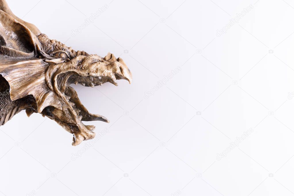 dragon head isolated in white background