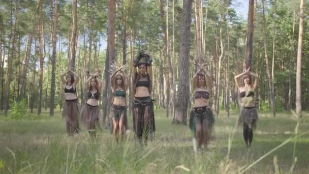 Groep vrouwelijke dansers met make-up en in mystieke fabelachtige kostuums dansen groovy dans in de natuur. Forest feeën, dryaden hebben plezier onder de bomen. Prestaties van dansers buitenshuis. — Stockvideo