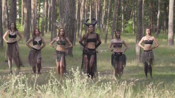 Femeile tinere în costume frumoase de dryade sau nimfe de pădure care arată performanțe într-o pădure fermecată sau fac ritual sub copaci — Videoclip de stoc