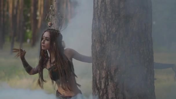 Aantrekkelijke dryad of Forest Fairy met Afro-vlechten en tatoeages op het lichaam dansen in mooi kostuum in de wolk van rook. Het oude ritueel van bos schepsel. Prestaties van danser. Slow Motion — Stockvideo