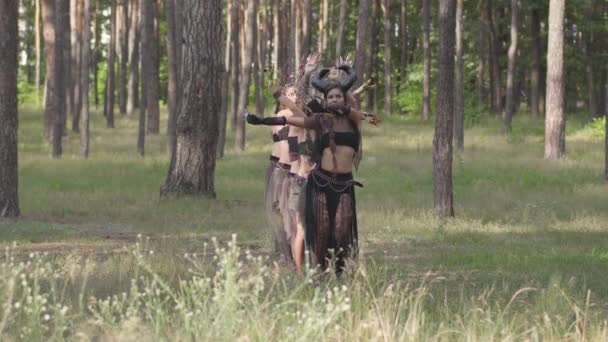 Csoport női táncosok a make-up és a misztikus mesés jelmezek táncoló Groovy tánc színes füst. Erdei tündérek, driádok szórakozni a fák között. A szabadtéri táncosok teljesítménye. — Stock videók