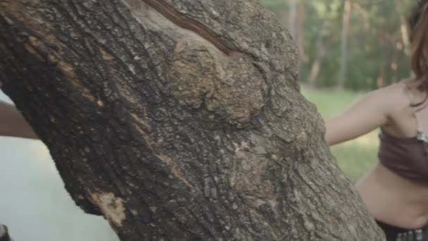 Secadas atraentes ou fadas da floresta saindo de trás tronco de árvore e dançando em belos trajes na nuvem de fumaça. O antigo ritual das criaturas da floresta. Desempenho de bailarinos na floresta — Vídeo de Stock