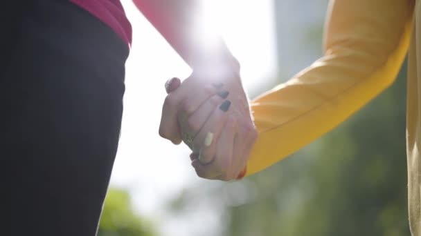 Linda pareja feliz en el amor caminando en el parque suavemente sosteniéndose la mano en primavera buen día. Primer plano . — Vídeo de stock