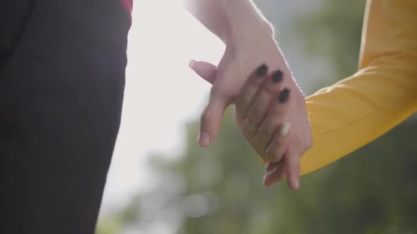 Schattig gelukkig paar in liefde wandelen op Park zachtjes houden elkaars hand in het voorjaar mooie dag. Close-up. — Stockvideo