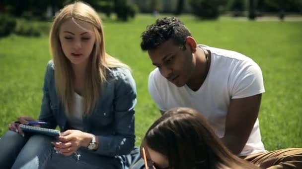 緑の芝生の上に毛布の上に横たわっている3人の学生のビデオは ホームタスクを学びます — ストック動画