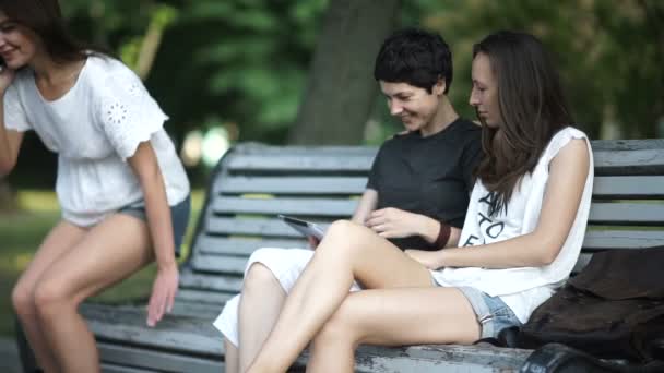 Vidéo Couple Lesbiennes Amoureux Dans Parc Sur Banc Vidéo Femme — Video