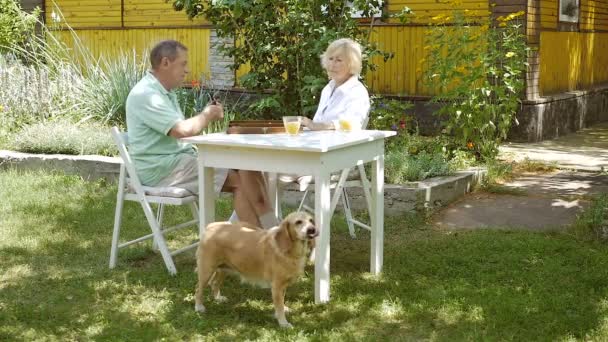 Yaşlı Çift Köpek Ile Masada Bahçede Tavla Oynarken Video — Stok video