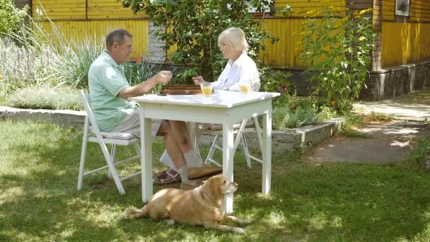 犬とテーブルで庭でバックギャモンを再生する高齢のカップル ビデオ — ストック動画