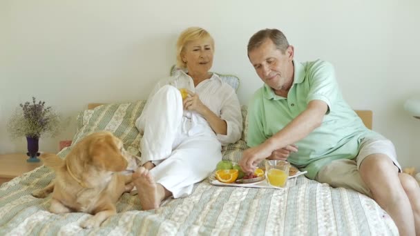 Elderly Couple Hugging Each Other Elderly Couple Dog Lying Bed — Stock Video