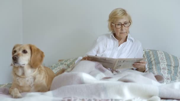 老妇人坐在床上 女人躺在床上看报纸 女人躺在狗旁边的床上 — 图库视频影像