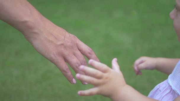 小女孩紧紧抓住母亲的手指 一个女人和她的女儿在花园里玩 穿着粉红衣服和尿布的婴儿 慢动作 — 图库视频影像