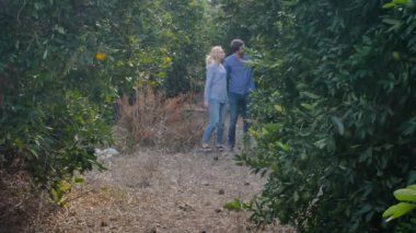 Birbirine aşık bir çift, portakal tarlasında el ele tutuşup ağaçların arasında yürüyor. Kadın ve adam etrafa bakınıyor. Genç bir kadın erkek arkadaşına dalda bir portakal gösteriyor. Adam genç bayana bakıyor ve ona bir şeyler söylüyor..