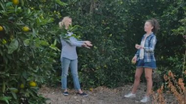 Kıvırcık kadın yeşil ağaçların yanındaki portakallarla hokkabazlık yapıyor. Kıvırcık kadın meyvelerden birini arkadaşına fırlatıyor. Güzel gülümseyen sarışın portakalı yakalıyor ve iki kadın da beşer beşer atıyor..