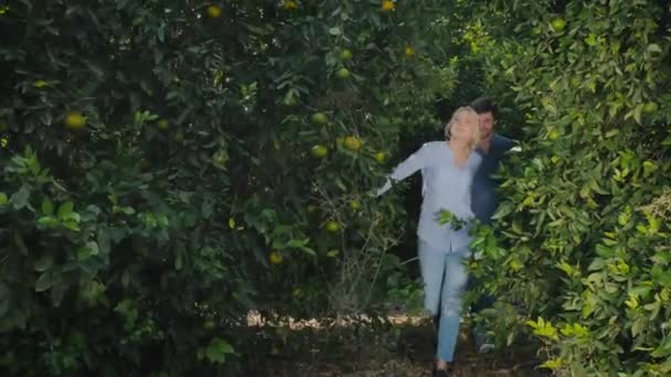 Man Vrouw Wandelen Oranje Tuin — Stockvideo